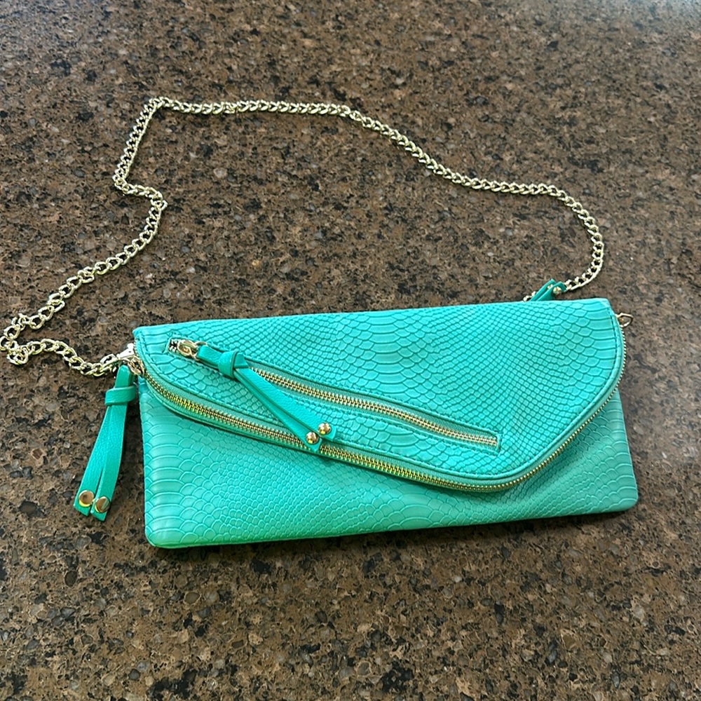 Francesca’s Collection Purse/Clutch.